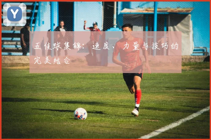 五佳球集锦:速度、力量与技巧的完美结合